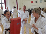 Joint_Seishin_Ryu__SKKKA_Open_Course_-_Gill_delivering_reverese_punch_with_spirit_May_2017_P5210050.jpg
