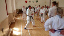 Joint_Seishin_Ryu__SKKKA_Open_Course_-_Sensei_Shire_teaching_kumite_May_2017.jpg
