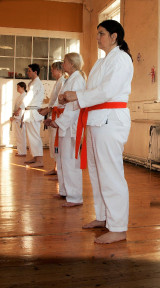 line-up-2000x3599-800x1439.jpg