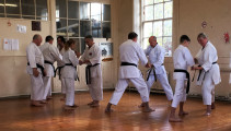 SKKKA_Open_Course_at_the_Mirai_Dojo_-_Enpi_kata_applications_1_Oct_2018_IMG_1441_adj.jpg